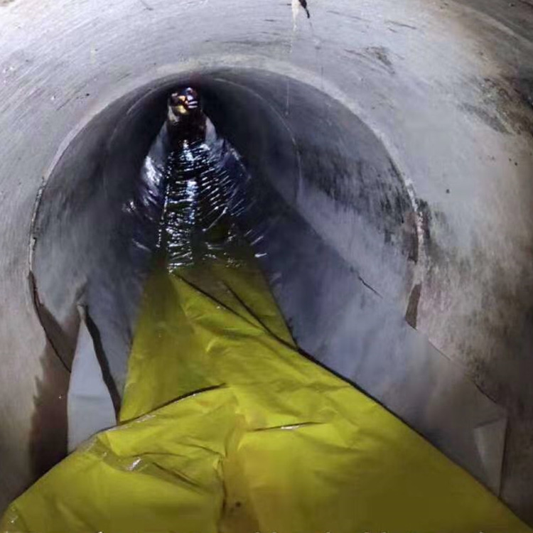 蓝山管道光固化修复